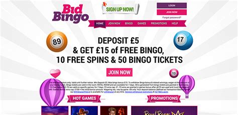 Bid Bingo Casino Paraguay