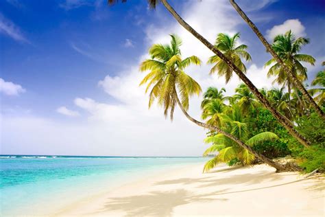 Caribbean Paradise Betway