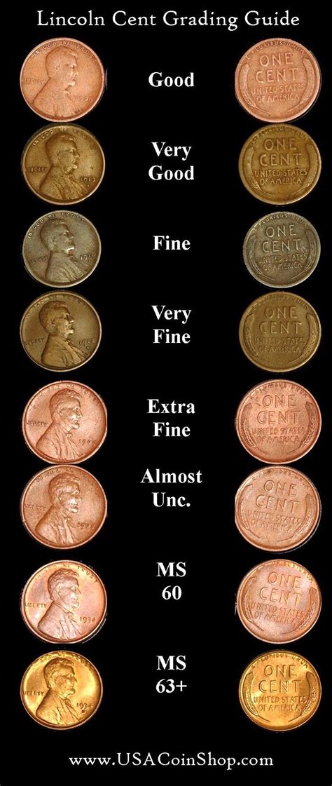 Coin Coin Coin Betsul