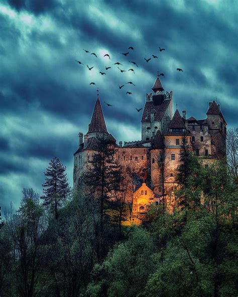 Dracula S Castle Bodog