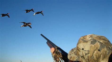 Duck Shooter Sportingbet
