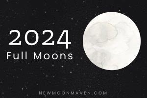 Full Moon White Panda Review 2024