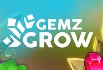 Gemz Grow Bodog