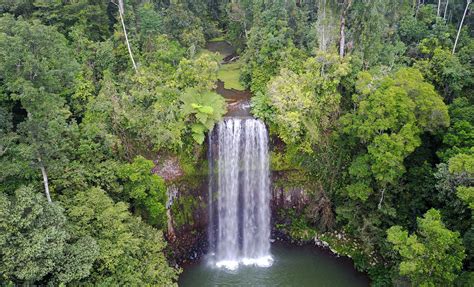 Jungle Falls Brabet