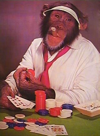 Macaco Blog Sobre Poker