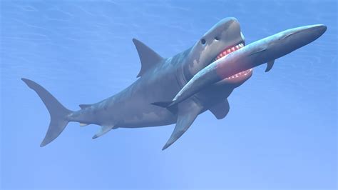 Mega Shark Leovegas