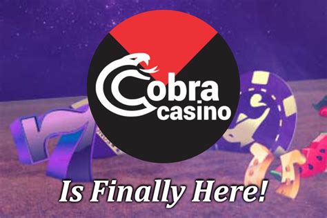 O Casino Cobra De Futebol
