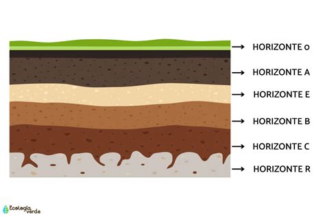 O Horizonte De Fenda