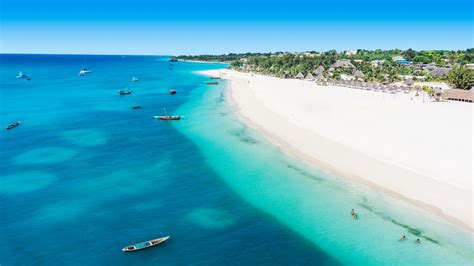 Offerte Roleta Zanzibar