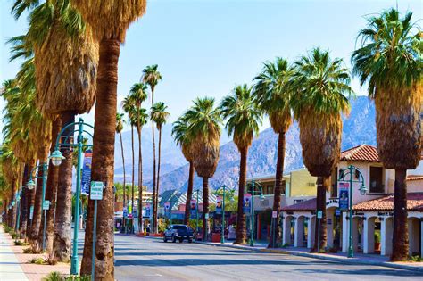 Palm Springs Merda