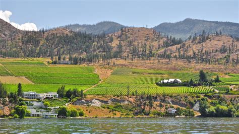 Passeio De Poquer Kelowna