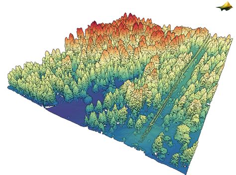 Poker Lidar Trabalhos Na California