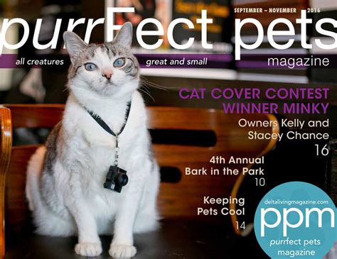 Purrfect Pets Novibet