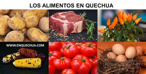 Quechua Casino De Alimentos