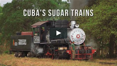 Sugar Train Netbet