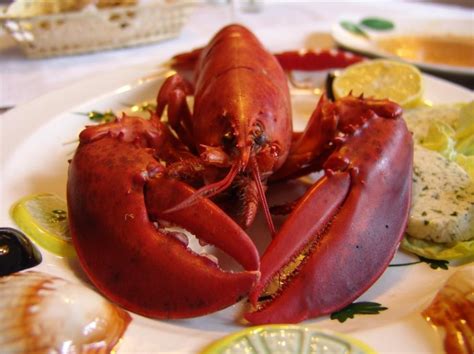 Tudo O Que Voce Pode Comer Lagosta Pequeno Almoco Em San Diego Casino